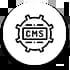  CMS Development