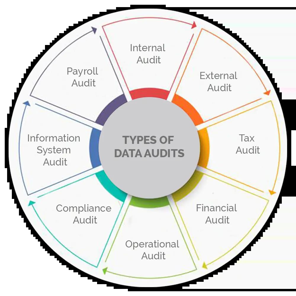 data audit services