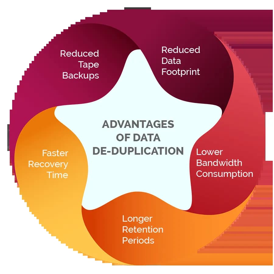 Data-Normalization-Services