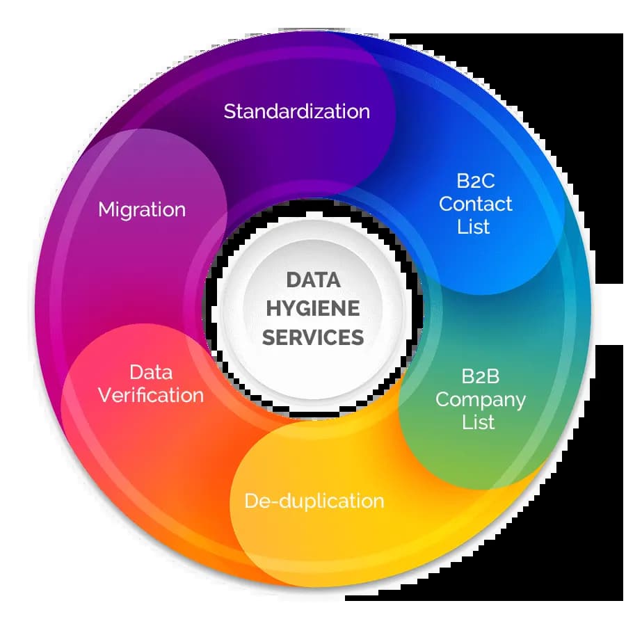 Data Hygeine Services