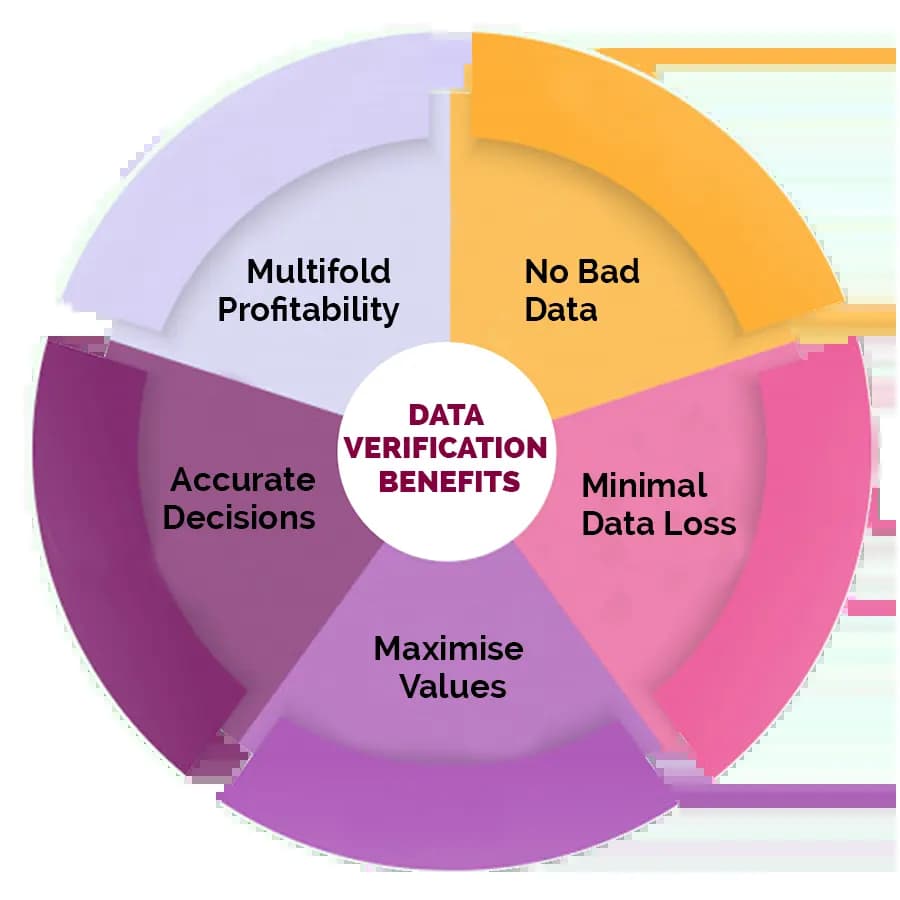 Data Verification Services