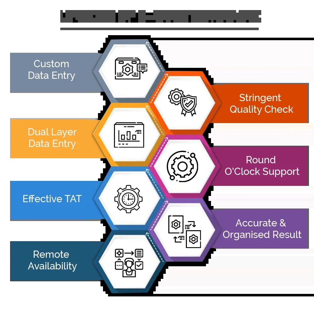 Questionnaire Data Entry 