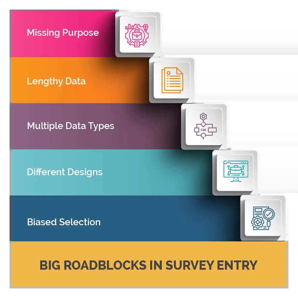 Survey Data Entry Services