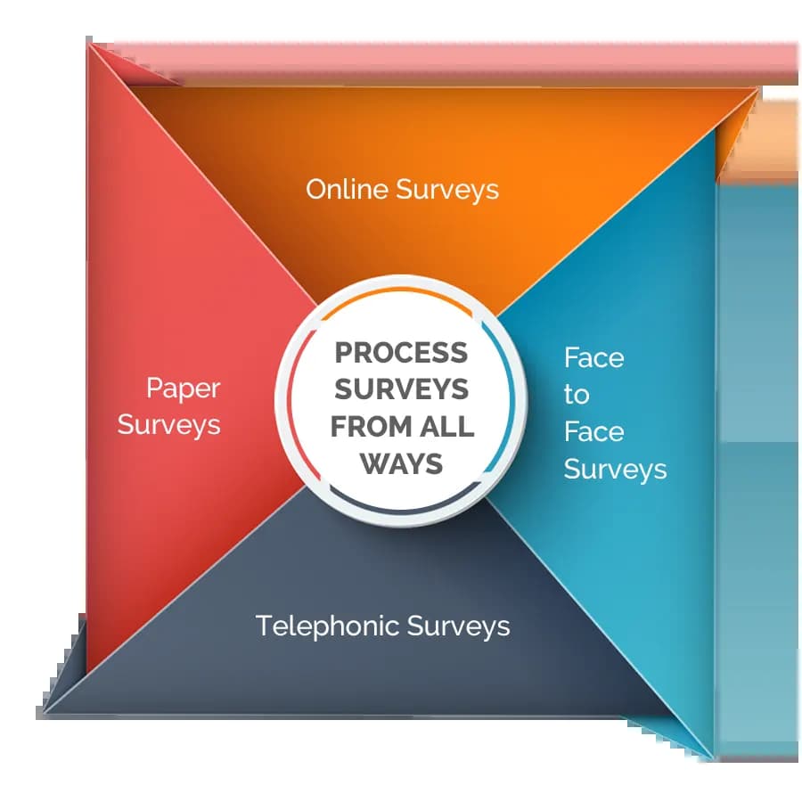 Survey Data Processing